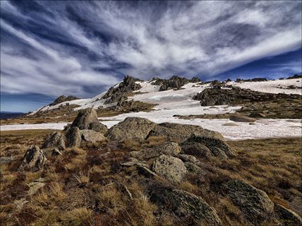 Rams Head Range - Kosciuszko NP - NSW SQ (PBH4 00 10682)